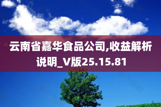 云南省嘉华食品公司,收益解析说明_V版25.15.81