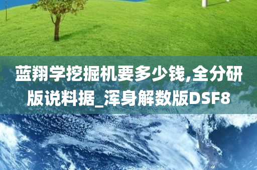 蓝翔学挖掘机要多少钱,全分研版说料据_浑身解数版DSF8