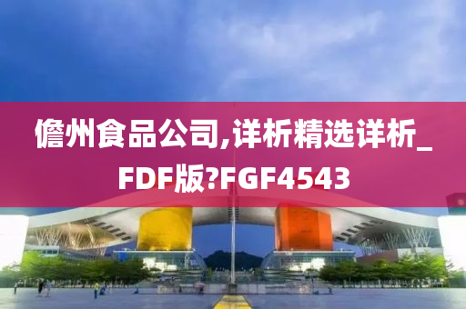 儋州食品公司,详析精选详析_FDF版?FGF4543