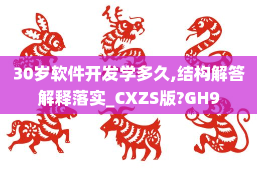 30岁软件开发学多久,结构解答解释落实_CXZS版?GH9