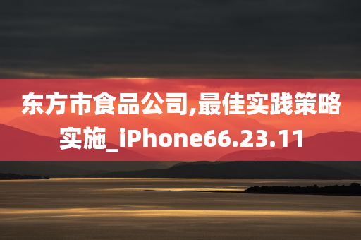 东方市食品公司,最佳实践策略实施_iPhone66.23.11