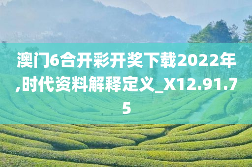 澳门6合开彩开奖下载2022年,时代资料解释定义_X12.91.75