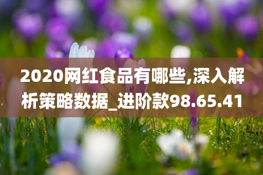 2020网红食品有哪些,深入解析策略数据_进阶款98.65.41