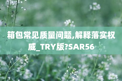 箱包常见质量问题,解释落实权威_TRY版?SAR56