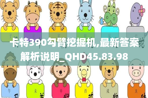 卡特390勾臂挖掘机,最新答案解析说明_QHD45.83.98