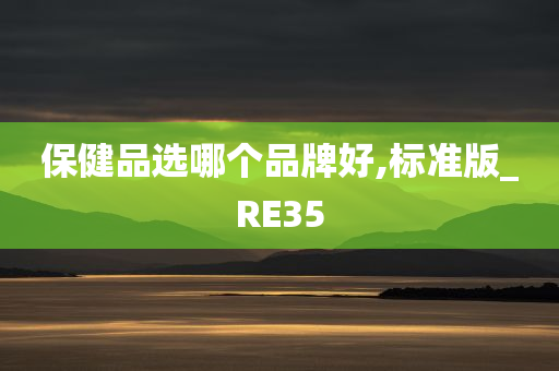 保健品选哪个品牌好,标准版_RE35