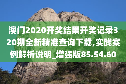 澳门2020开奖结果开奖记录320期全新精准查询下载,实践案例解析说明_增强版85.54.60