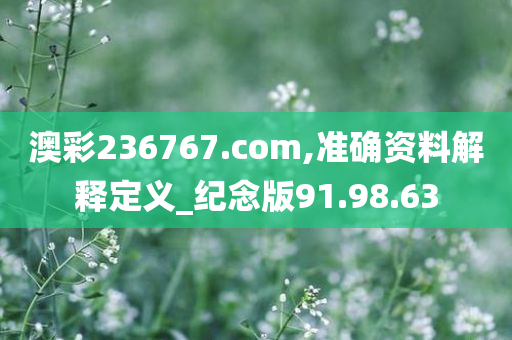 澳彩236767.соm,准确资料解释定义_纪念版91.98.63