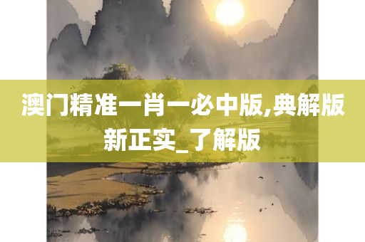 澳门精准一肖一必中版,典解版新正实_了解版