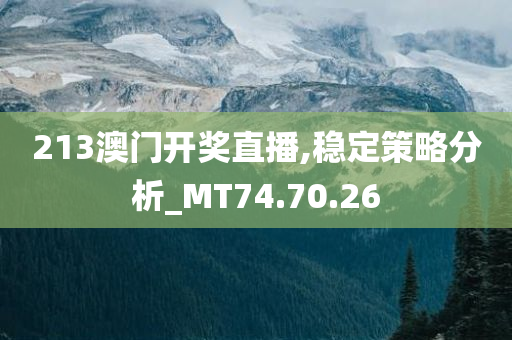 213澳门开奖直播,稳定策略分析_MT74.70.26