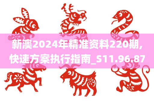 新澳2024年精准资料220期,快速方案执行指南_S11.96.87