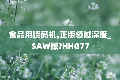 食品用喷码机,正版领域深度_SAW版?HHG77