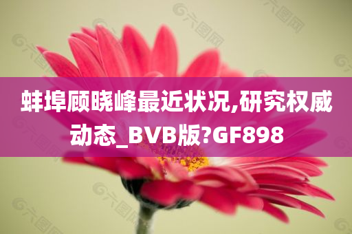 蚌埠顾晓峰最近状况,研究权威动态_BVB版?GF898