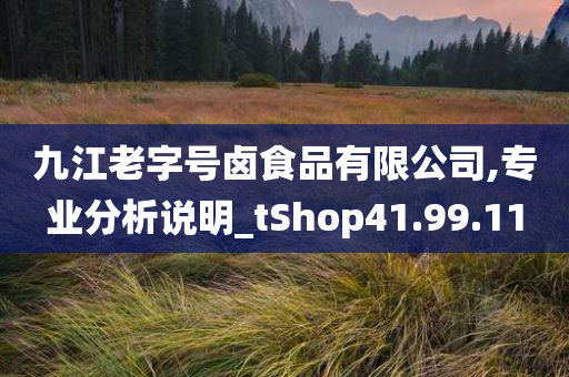 九江老字号卤食品有限公司,专业分析说明_tShop41.99.11