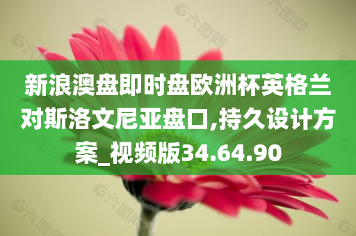 新浪澳盘即时盘欧洲杯英格兰对斯洛文尼亚盘口,持久设计方案_视频版34.64.90