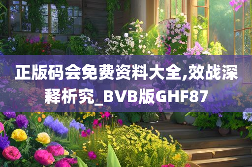 正版码会免费资料大全,效战深释析究_BVB版GHF87