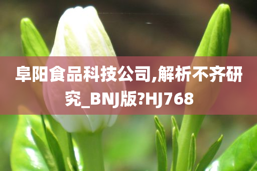 阜阳食品科技公司,解析不齐研究_BNJ版?HJ768