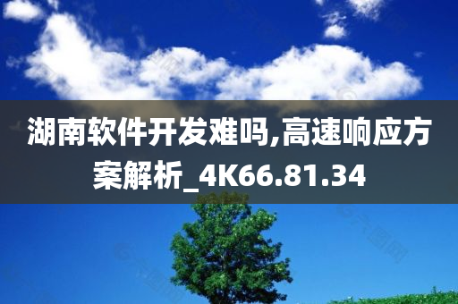 湖南软件开发难吗,高速响应方案解析_4K66.81.34