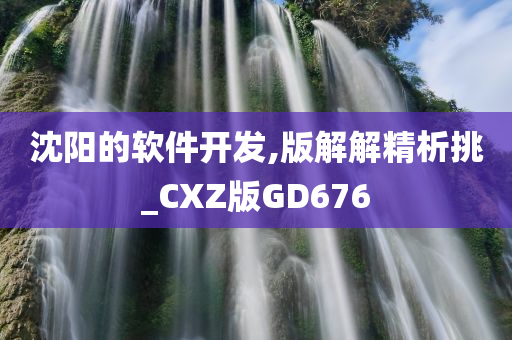 沈阳的软件开发,版解解精析挑_CXZ版GD676