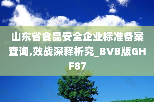 山东省食品安全企业标准备案查询,效战深释析究_BVB版GHF87