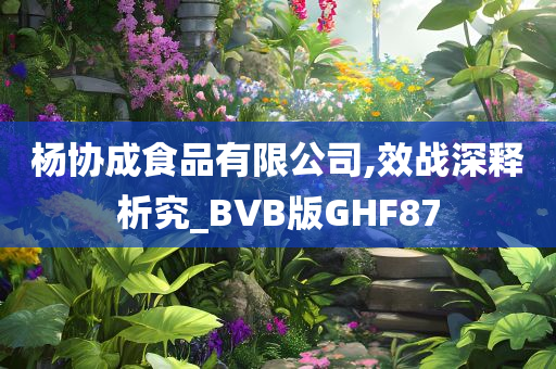 杨协成食品有限公司,效战深释析究_BVB版GHF87