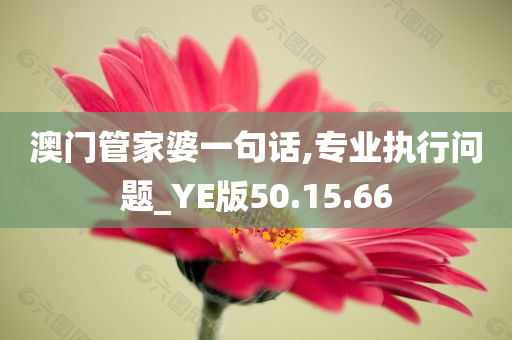 澳门管家婆一句话,专业执行问题_YE版50.15.66