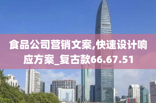 食品公司营销文案,快速设计响应方案_复古款66.67.51