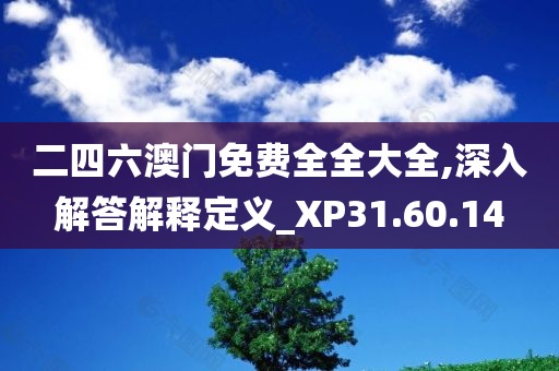 二四六澳门免费全全大全,深入解答解释定义_XP31.60.14