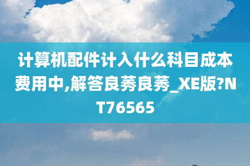 计算机配件计入什么科目成本费用中,解答良莠良莠_XE版?NT76565