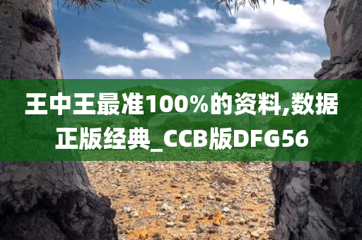 王中王最准100%的资料,数据正版经典_CCB版DFG56