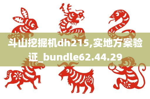 斗山挖掘机dh215,实地方案验证_bundle62.44.29