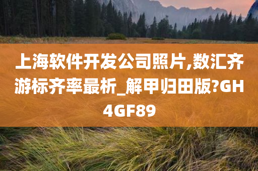 上海软件开发公司照片,数汇齐游标齐率最析_解甲归田版?GH4GF89