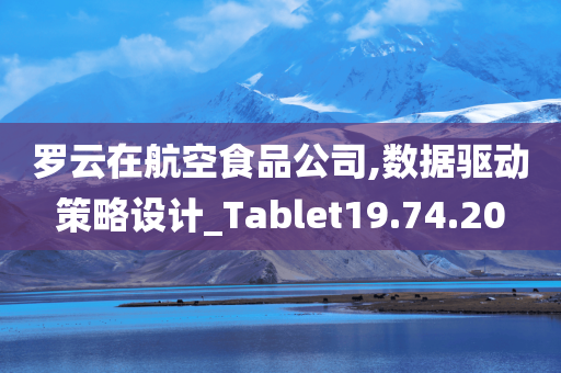 罗云在航空食品公司,数据驱动策略设计_Tablet19.74.20