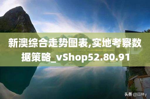 新澳综合走势图表,实地考察数据策略_vShop52.80.91