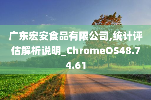 广东宏安食品有限公司,统计评估解析说明_ChromeOS48.74.61