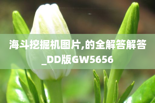 海斗挖掘机图片,的全解答解答_DD版GW5656