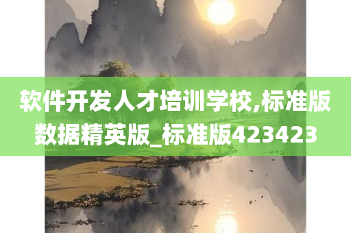 软件开发人才培训学校,标准版数据精英版_标准版423423