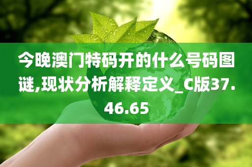 今晚澳门特码开的什么号码图谜,现状分析解释定义_C版37.46.65