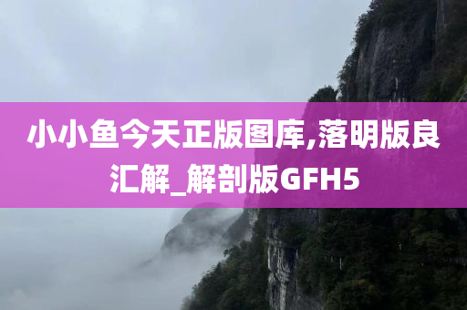 小小鱼今天正版图库,落明版良汇解_解剖版GFH5