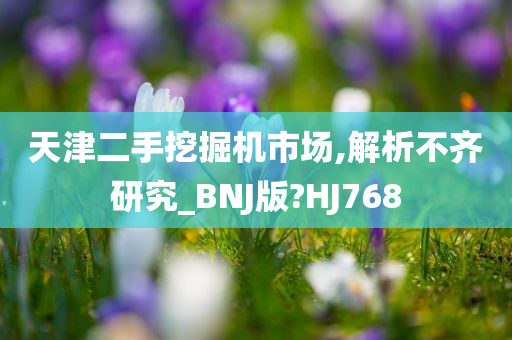 天津二手挖掘机市场,解析不齐研究_BNJ版?HJ768