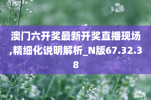 澳门六开奖最新开奖直播现场,精细化说明解析_N版67.32.38