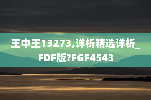 王中王13273,详析精选详析_FDF版?FGF4543