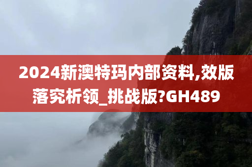 2024新澳特玛内部资料,效版落究析领_挑战版?GH489