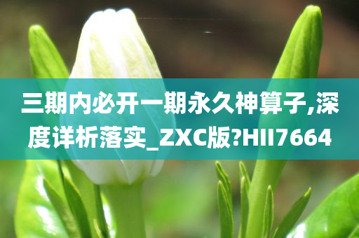 三期内必开一期永久神算子,深度详析落实_ZXC版?HII7664