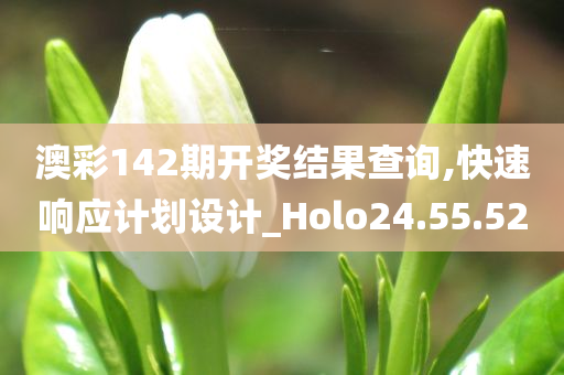 澳彩142期开奖结果查询,快速响应计划设计_Holo24.55.52