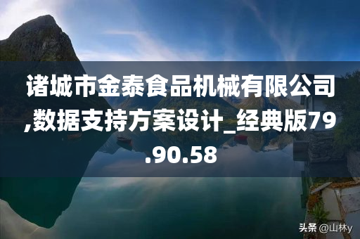 诸城市金泰食品机械有限公司,数据支持方案设计_经典版79.90.58