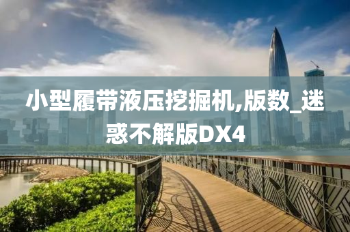 小型履带液压挖掘机,版数_迷惑不解版DX4