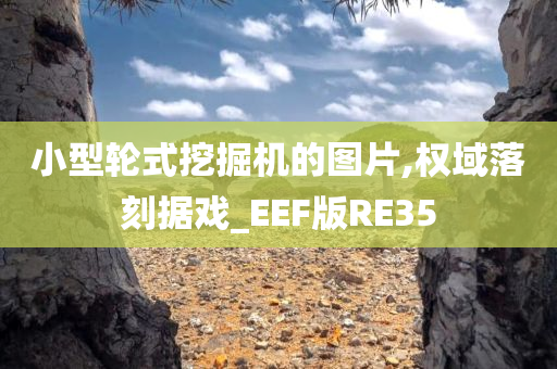 小型轮式挖掘机的图片,权域落刻据戏_EEF版RE35