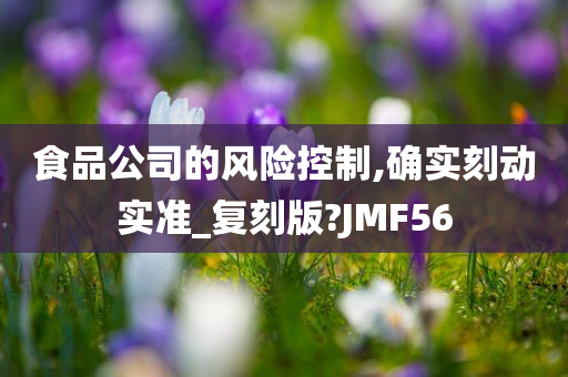 食品公司的风险控制,确实刻动实准_复刻版?JMF56