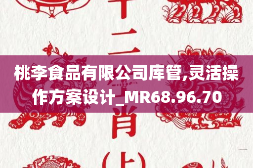 桃李食品有限公司库管,灵活操作方案设计_MR68.96.70